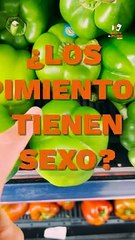 下载视频: ¿Hay pimientos hembras y machos?