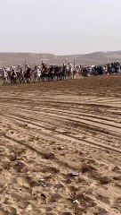 موسم التبوريدة بالمغرب