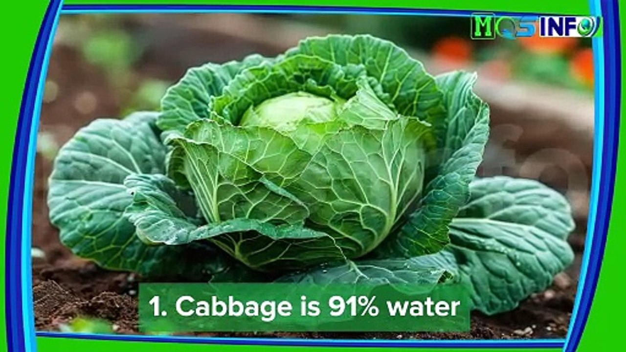 Awesome interesting facts about food - Foods Facts - MQS info