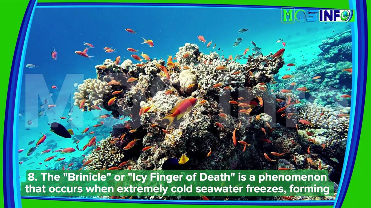 Some Mind-Blowing Facts About The Oceans - MQS info #facts