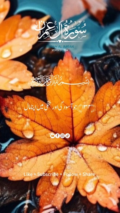 surah aal e imran ayat 134 urdu translation #alquran#islamic video#islam