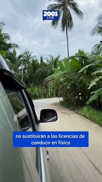 Te contamos todos los beneficios que traerá la licencia de conducir digital en Illinois