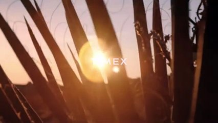 QTimex watches a fusion of precision and style.​