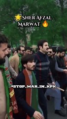 PTI Imran Khan tigers