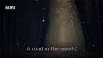 A road in the woods - Ender Güney (Official Audio)