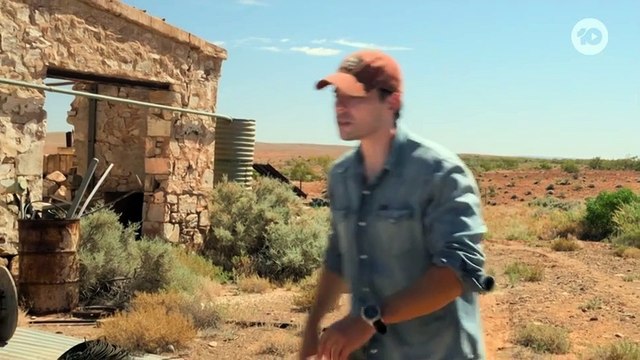 Neighbours 21st August 2024 (9099)