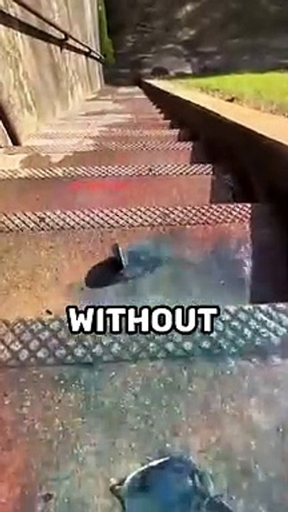 Facts That Can SAVE Your Life