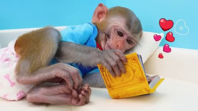 Monkey Baby Bon Bon Pretends to be a firefighter and naughty with Ducklings in the swimming pool