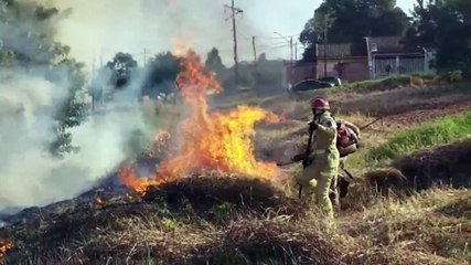 Corpo de Bombeiros combate incêndio em vegetação no Tarumã