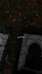 ہم خوش نصیب ہیں _._._. Ki hamen koi samajhne wala hai ⛓️_._._.__