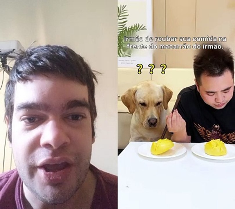 Cachorro  inteligente kkk