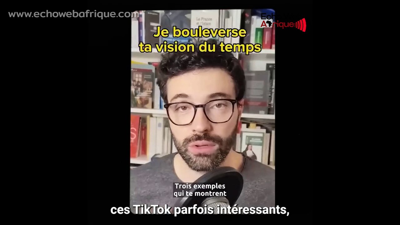 TikTok, Bientôt interdit en France?