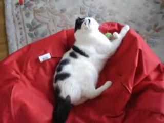 dans mon pouf et bagarre avec Papa