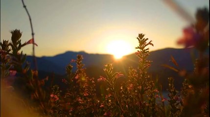 Islamic Video Tilawat Quran