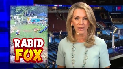 Inside Edition - August 20, 2024 [Full Episode]