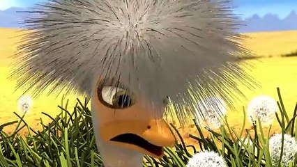 Animals - Jungle Beat - Jungle Songs  |