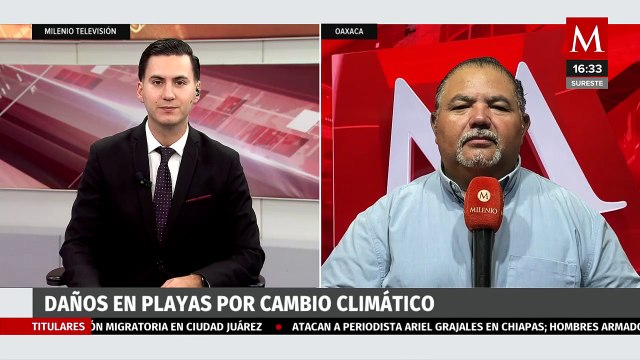 Playas santuario de la tortuga golfina en Oaxaca están en peligro por el cambio climático