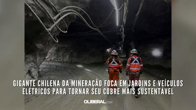Gigante chilena da mineração foca em jardins e veículos elétricos para tornar seu cobre mais sustentável