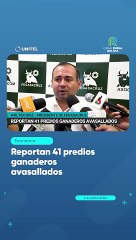 Descargar video: Reportan 41 predios ganaderos avasallados