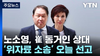 노소영, 최태원 동거인 상대 '30억대 위자료 소송' 오늘 선고 / YTN
