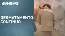 Brasil perdeu 33% das áreas naturais entre 1985 e 2023