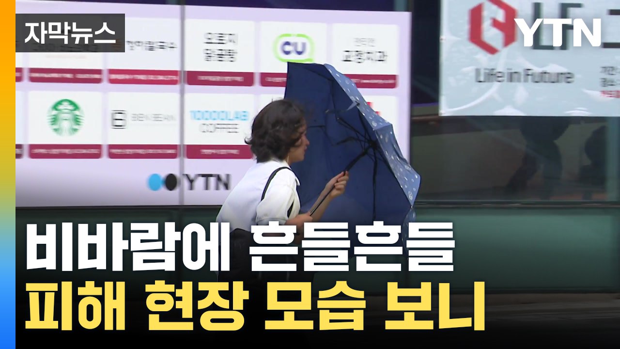 [자막뉴스] 태풍 '종다리'가 몰고 온 비바람에...아찔한 당시 상황 / YTN