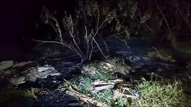 Cascavel em chamas: nove incêndios em vegetação foram registrados nesta quarta-feira