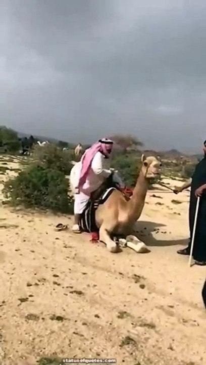 Funny and entertainment