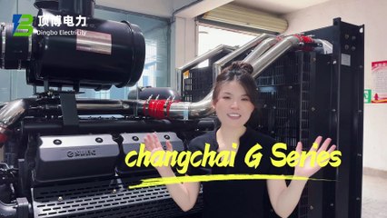 Shangchai G Series Diesel Generator set