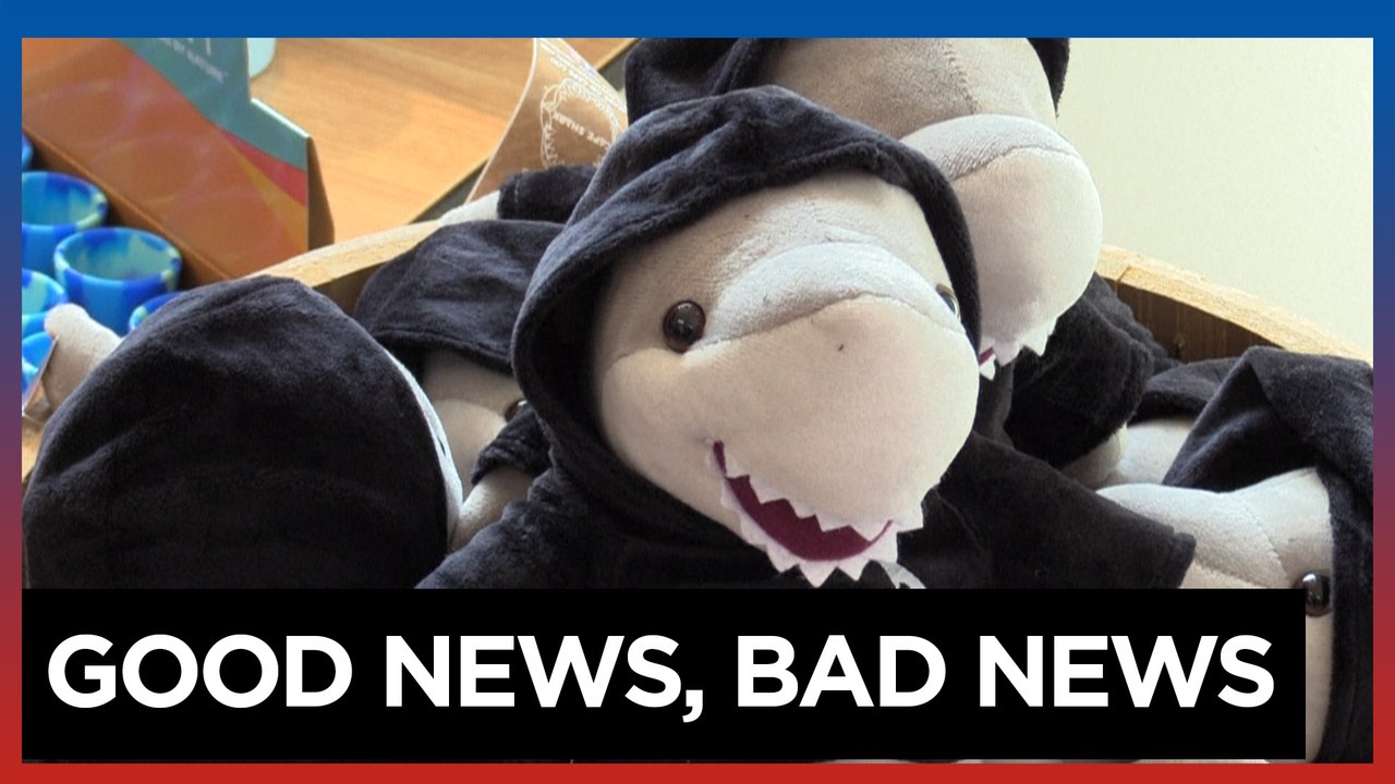 Great white sharks bring more tourists -- and warnings -- to Cape Cod