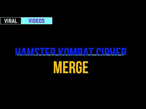 22 August Cipher Code Hamster Kombat Today