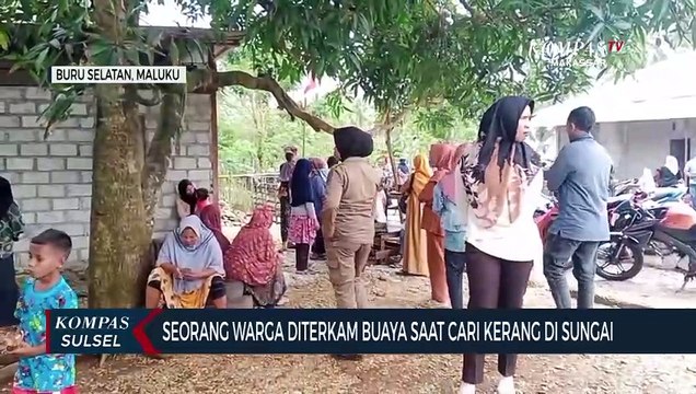 Seorang Warga Diterkam Buaya Saat Cari Kerang Di Sungai