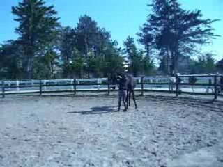 Débourage de rasta 1