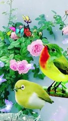 کامیابی دین اسلام میں ہے || Success is in the religion of Islam