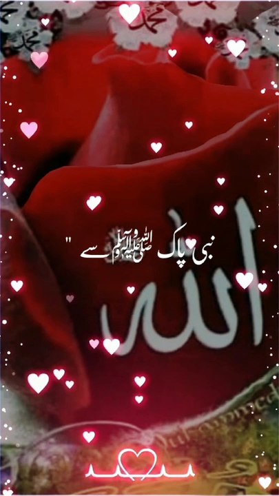 Beautiful Islamic Status | Beautiful Islamic Hadees | Islamic Status. #trending #youtubeshorts #shortvideo