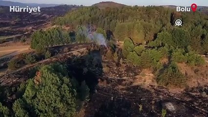 Gerede'de yanan ormanlık alan havadan görüntülendi