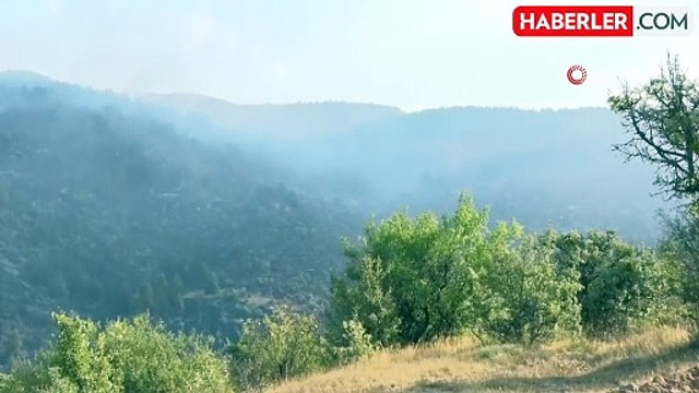 Ankara-Bolu sınırındaki yangına günün ilk ışıklarıyla havadan müdahale başladı