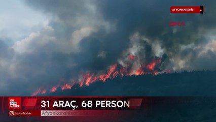 Afyonkarahisar'daki orman yangınında 20 hektar zarar gördü