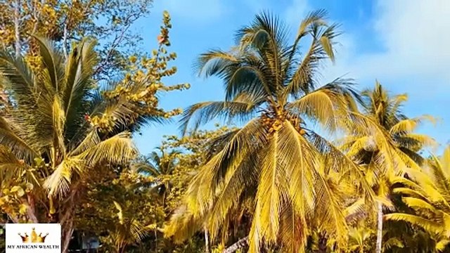 Get A Permanent Residency In Panama