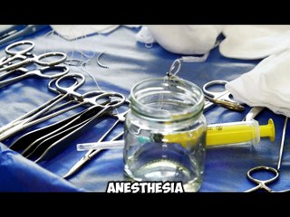 Unit 731: The Dark Shadows of War