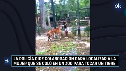 La Policía pide colaboración para localizar a la mujer que se coló en un zoo para tocar un tigre