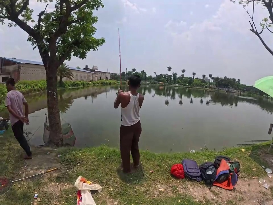 Big Fish Hunting and Fishing Videos _ Fishing Videos New 2024