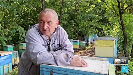 Guerre en Ukraine : un apiculteur revient pour ses abeilles