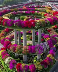 Beautiful bridges in the world