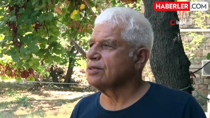 Antalya'da rekor sıcaklık denizdeki balık türlerini ve omurgasız canlıları yok ediyor