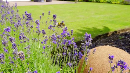 Step inside this beautiful four bed home in Caldecote, with additional self contained annexe.