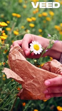 Discover the Power of Healing Herbs