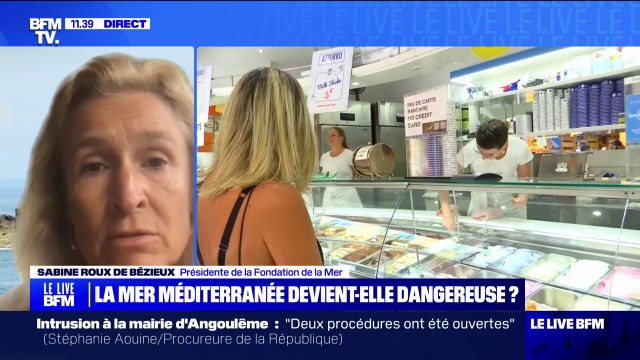 Sabine Roux de Bézieux (présidente de la Fondation de la Mer), sur la canicule marine: Pour la faune et la flore dont la vie dépend du bon état de la Méditerranée, c'est une catastrophe