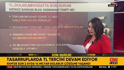 Piyasada döviz dayatmaları işe yaramadı! TL'de tasarrufların seyri ne olur?