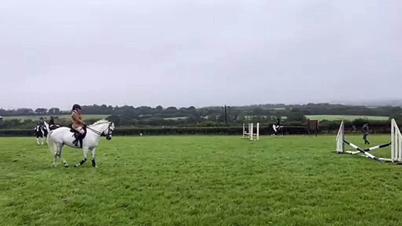 Horses and ponies warm up at Holsworthy Show 2024 video Dailymotion